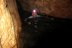 Bruce swims into cave