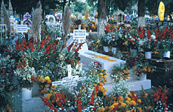 flowers at graveyard